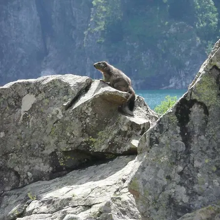Les Ecrins